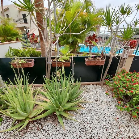 Bellamar Deluxe *